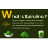 STREAMLINE SPIRULINA CAPSULES Green Food For Good Health Weight Management And Immunity Booster | Helps In Healthy Heart