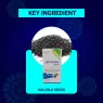 STREAMLINE KALONJI CAPSULES  | 30 Veg Capsules Helpful in OBESITY, Good Digestion and Immunity Support