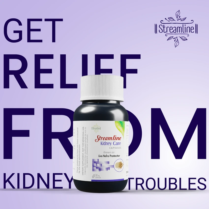 STREAMLINE KIDNEY CARE CAPSULES Urinary Tract Infection (UTI) Kidney Stone Dissolution Herbal Supplement