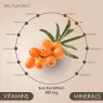 STREAMLINE SEABUCKTHORN CAPSULES For Healthy Heart, Immunity Power, Skin Care & Body Detox, Natural Herbal Nutrition Supplement