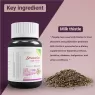 STREAMLINE MILK THISTLE CAPSULES For Liver Detox, Protection & Enhancement |