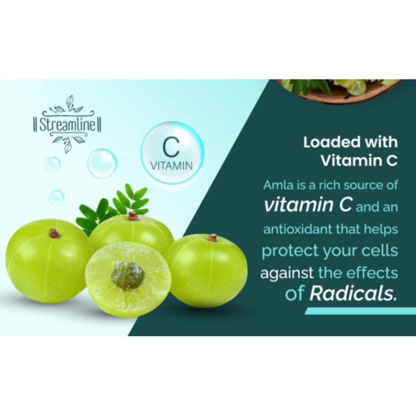 STREAMLINE AMLA CAPSULES Rich In Vitamin C, Protects Against Free Radicals, Rich In Antioxidants, Improves Digestion, Enhances Vision