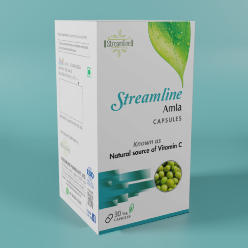 STREAMLINE AMLA CAPSULES Rich In Vitamin C, Protects Against Free Radicals, Rich In Antioxidants, Improves Digestion, Enhances Vision