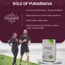 STREAMLINE PUNARNAVA CAPSULES for Good Gut Health & for Healthy Appetite, Helps for Heart and Urinary Health