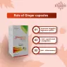 STREAMLINE GINGER CAPSULES Improves Digestion & Boosts Immunity