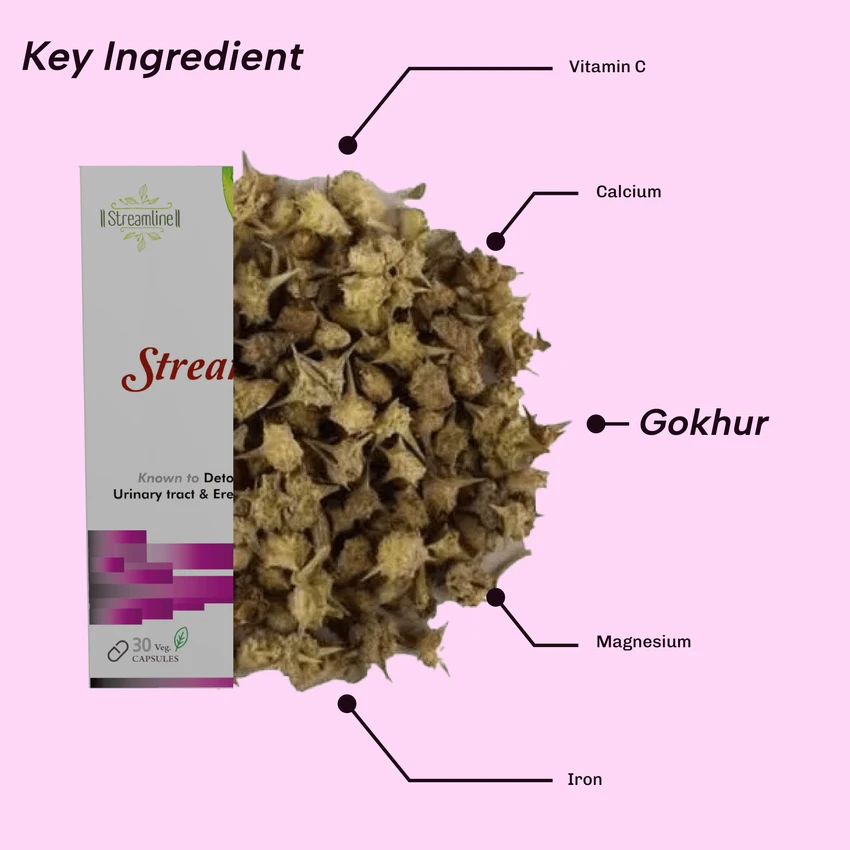 STREAMLINE GOKHRU CAPSULES or Men's Wellness, Urinary Tract Health, Enhances Immunity-Boosting and Strength