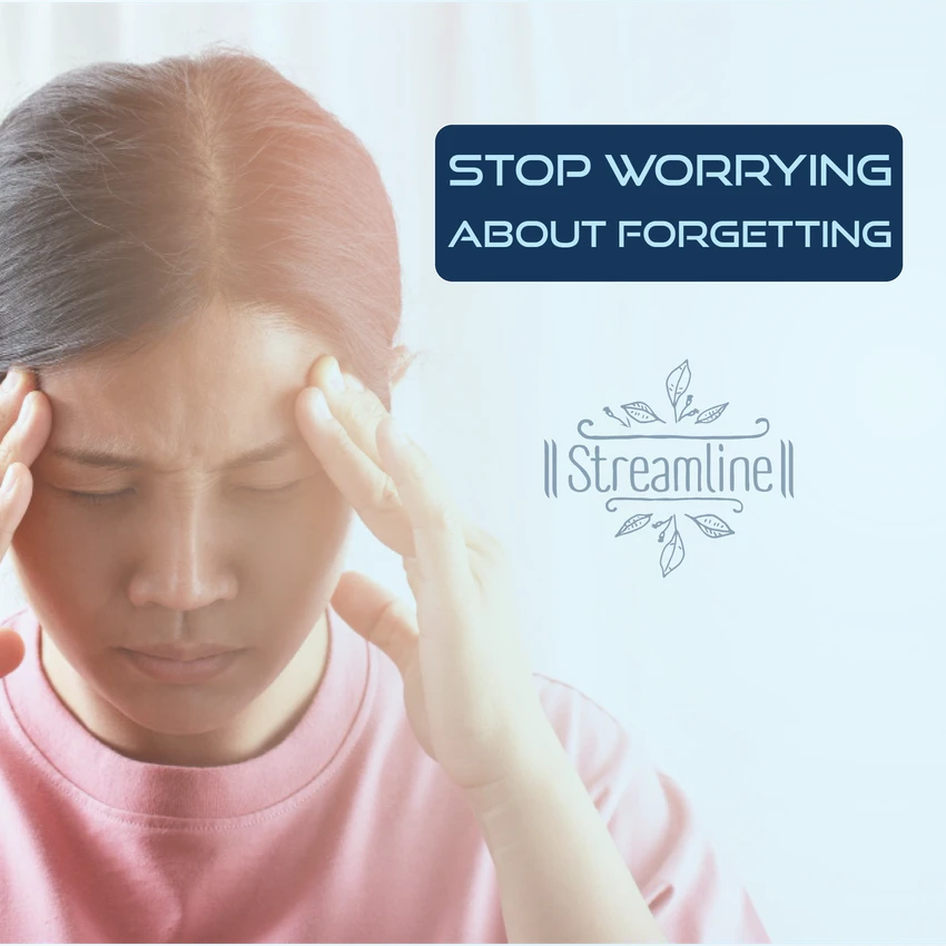 STREAMLINE BRAHMI CAPSULES Mind Wellness - Strengthens Nervous System