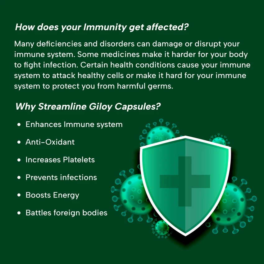 STREAMLINE GILOY CAPSULES Natural Immunity Booster | Helps in Blood Purification