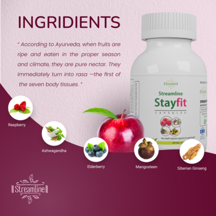 STREAMLINE STAYFIT Multivitamin  CAPSULES With Natural Ginseng, Zinc,Vitamins & Minerals For Daily Energy, Stamina & Immunity