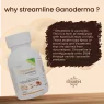 STREAMLINE GANODERMA CAPSULES Ultimate Health & Nutrition Supplements For Boost Immunity, Detox Rejuvenation & Anti-Oxidant Support