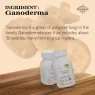 STREAMLINE GANODERMA CAPSULES Ultimate Health & Nutrition Supplements For Boost Immunity, Detox Rejuvenation & Anti-Oxidant Support