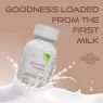 STREAMLINE COW COLOSTRUM CAPSULES Strengthens Immunity, Increases Energy Levels, Boosts Metabolism, Helps with Weight Management