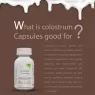 STREAMLINE COW COLOSTRUM CAPSULES Strengthens Immunity, Increases Energy Levels, Boosts Metabolism, Helps with Weight Management