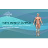 STREAMLINE TESTOBOOSTER CAPSULES  Immunity Booster & Stamina Booster For Men, Reduces Stress and Anxiety