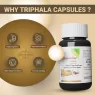 STREAMLINE TRIPHLA CAPSULES Supports Bowel Wellness & Healthy Gut, Helps to Boost Immunity & Useful for Digestion, Antioxidant Properties