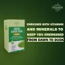 STREAMLINE GREEN SUPER FOOD TABLETS Daily Greens to Boost Immunity, Digestive Enzymes & Body Detox with Wholefood Multivitamin