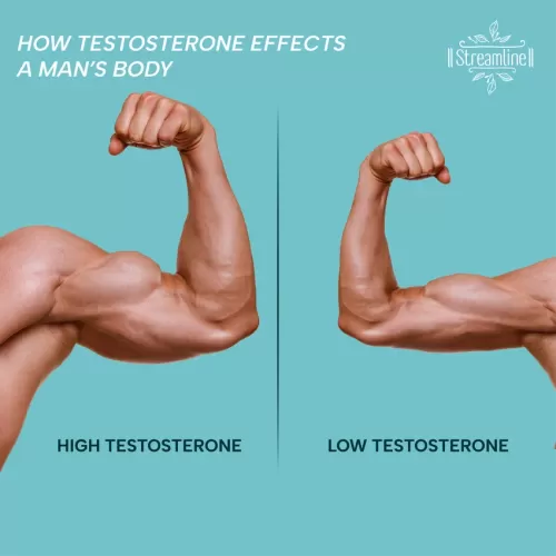 STREAMLINE TESTOBOOSTER CAPSULES  Immunity Booster & Stamina Booster For Men, Reduces Stress and Anxiety